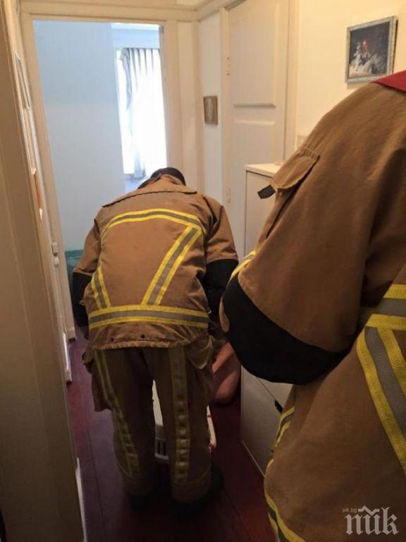 Цигуларят Ешкенази вдигна пожарната в Амстердам по тревога
