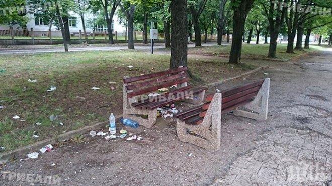 Двама младежи вилняха из Върбица
