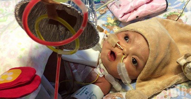 Тя издъхна, когато родителите ѝ се съгласиха да спрат животоподдържащите системи