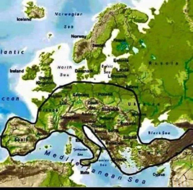 Наши мюсюлманки пуснаха Европа на колене за намаз
