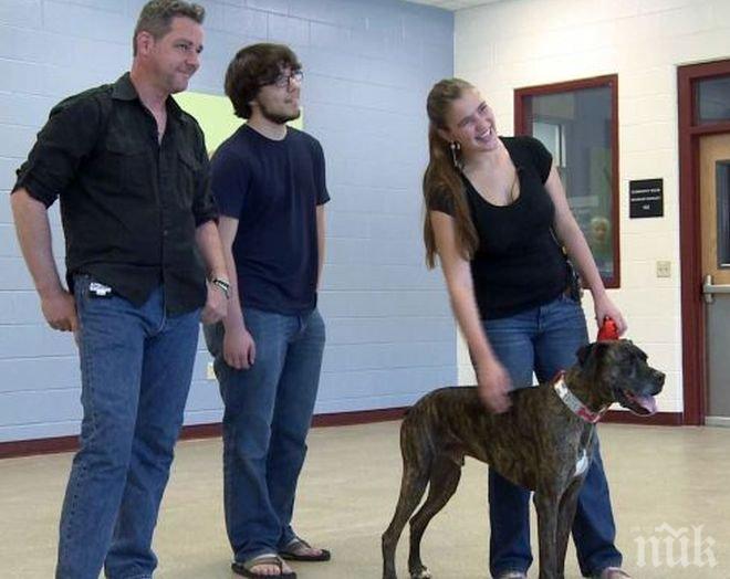 Чудо! Семейство откри загубеното си куче след девет години