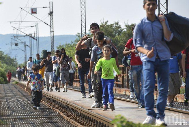 2015 г. е рекордна по задържане на нелегални имигранти в Гърция 