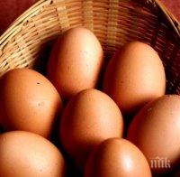 Ангола ще унищожи 11 милиона контрабандни яйца