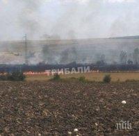 Пожар гори до язовира на врачанското село Девене (снимки)