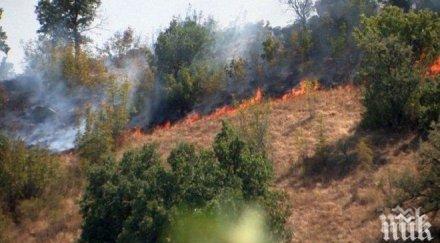 загасиха пожара нов път видин