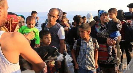 бежанците гърция ситуацията излиза извън контрол