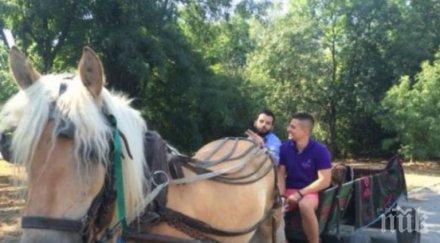 цирк иван андрей подкараха каруцa