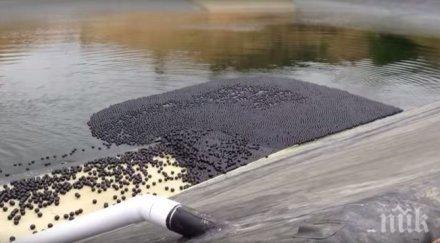 хиляди черни топчета бяха пуснати язовирите лос анджелис