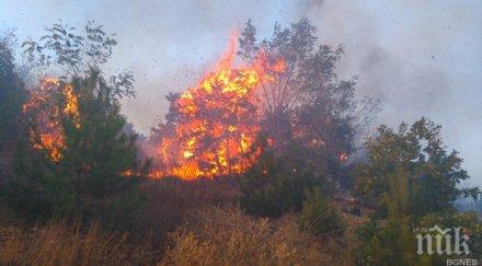 цяла нощ гасят пожара брезник априлци спряха огнената стихия