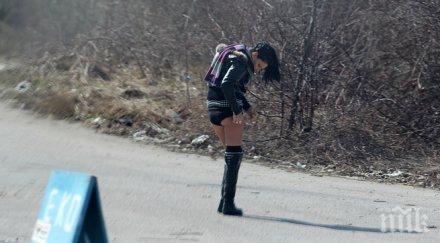 социоложка проституцията намалява сексуалната престъпност