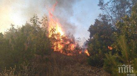 априлци огънят отново пламна