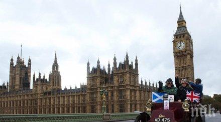 глобиха влюбени правили секс време концерт