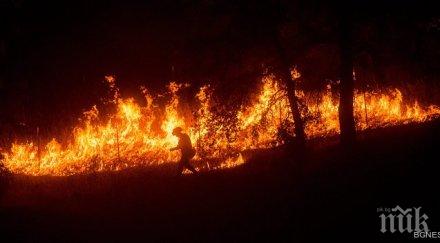 пожарите калифорния прехвърлят долината напа