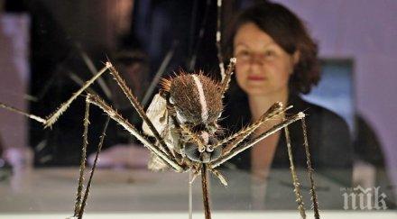 кажете сбогом комарите