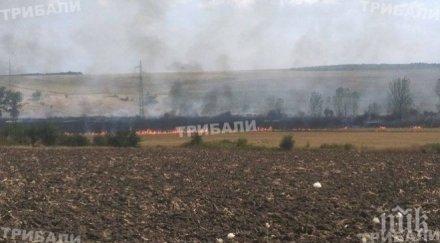 пожар гори язовира врачанското село девене снимки