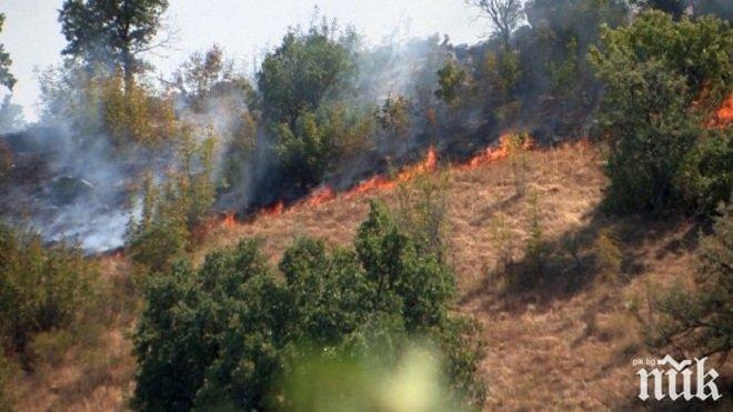 Загасиха пожара край кв. „Нов път” във Видин
