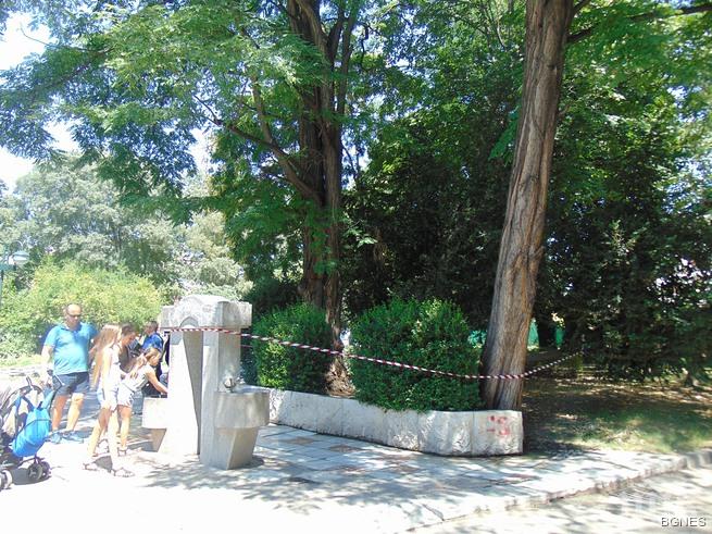 Зелена война в Пловдив