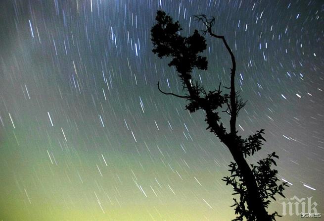 Тази нощ ще валят звезди