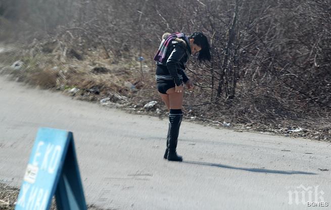 Социоложка: Проституцията намалява сексуалната престъпност 