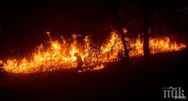 Пожарите в Калифорния се прехвърлят в долината Напа