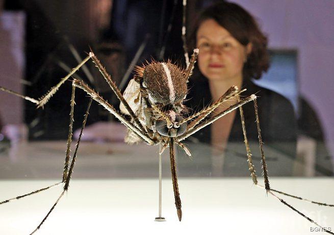 Кажете сбогом на комарите