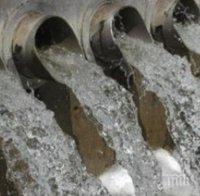 ПИК TV: Чинар спука водопровод в Пловдив, отсякоха го