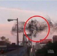 Ято птици очерта лика на Путин в небето над Ню Йорк (снимка и видео)