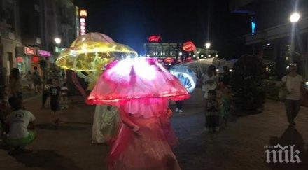 морски създания превзеха варна видео