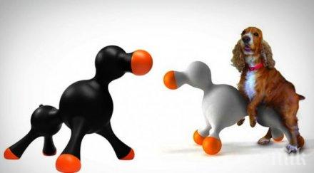 българите луднаха сексиграчки кучета