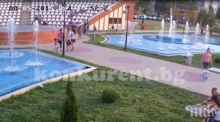 камери спипаха хулигани трошат парка дъбника видео