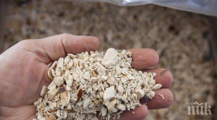 хранилището нашето изхранване