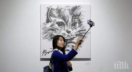 гинес записа старата жива котка света