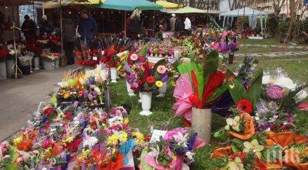 подаряват цветя разгадайте означават