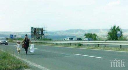 фирми кандидатстват правят идейния проект магистралата русе велико търново