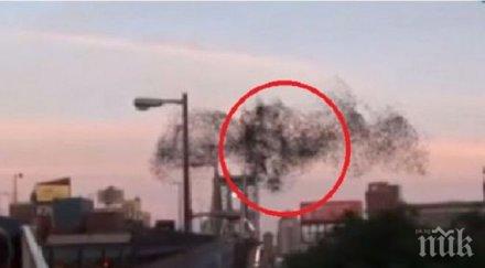 ято птици очерта лика путин небето йорк снимка видео