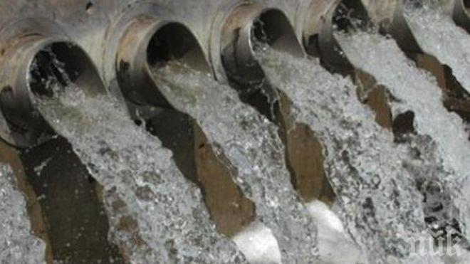ПИК TV: Чинар спука водопровод в Пловдив, отсякоха го