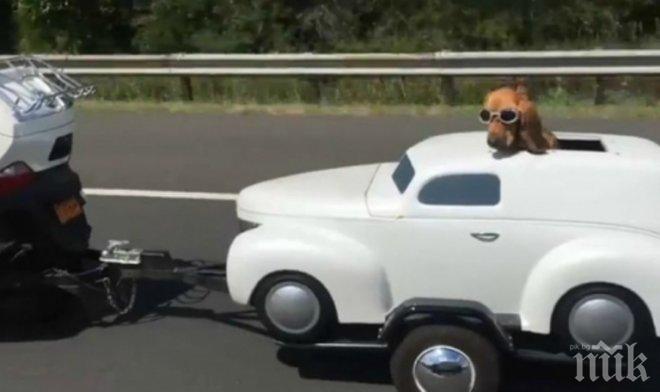 Кучешки живот! Или как да повозим домашния любимец със стил! (видео)
