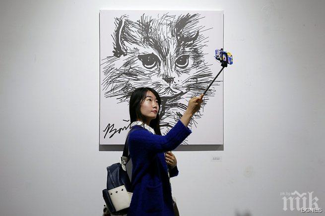 Гинес записа най-старата жива котка в света