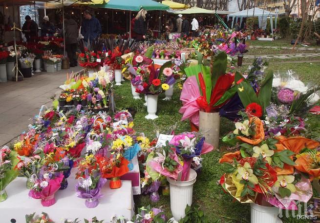 Подаряват ви цветя - разгадайте какво означават те!