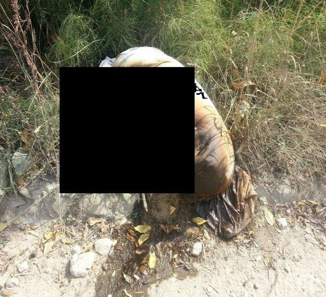 Варненци в ступор: Увит труп на едро животно се разлага на Крайезерния път (снимка)