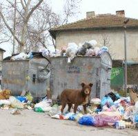 Пловдивско село потъна в боклуци! Страх от епидемия тресе местните
