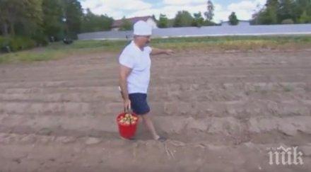 добър пример президентът беларус стана земеделец вади картофи видео