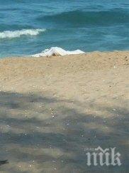 двама мъже удавиха уикенда южното черноморие