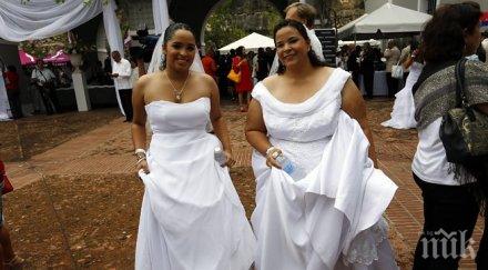 пуерто рико стана малък рай еднополови сватби