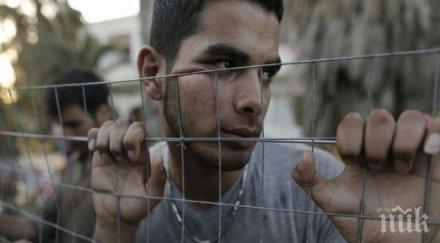 висока степен бдителност обявиха босна херцеговина