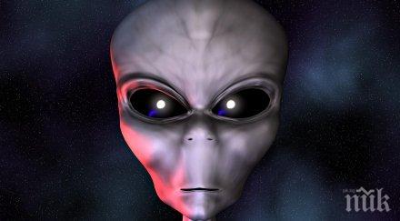 мексиканец заби колелото храстите избяга извънземни