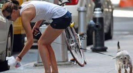 генетиката борба стопани чистят кучетата