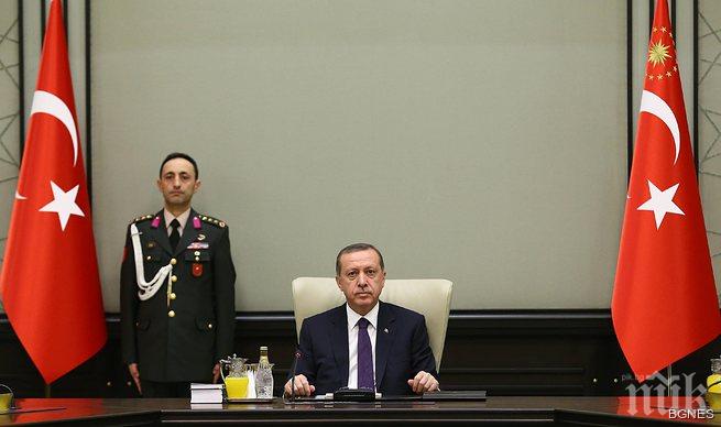 Кучетата в двореца на Ердоган да бъдат ваксинирани срещу бяс