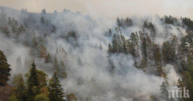 Пожар погълна 30 дка гора в Шуменско