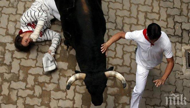 Гонката с бикове в Испания взе 7 жертви 